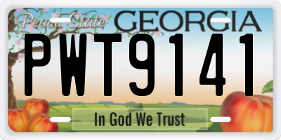 GA license plate PWT9141