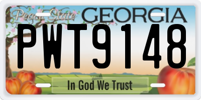 GA license plate PWT9148