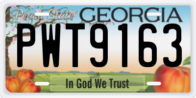 GA license plate PWT9163
