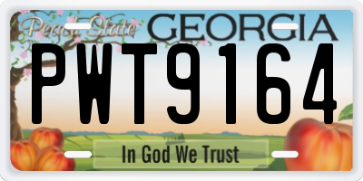 GA license plate PWT9164