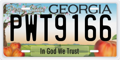 GA license plate PWT9166