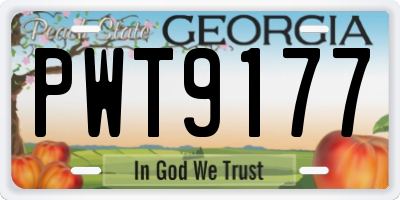 GA license plate PWT9177