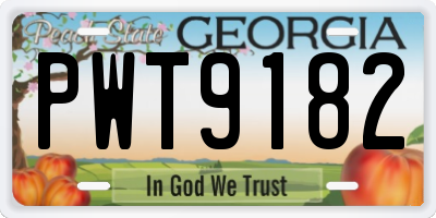 GA license plate PWT9182