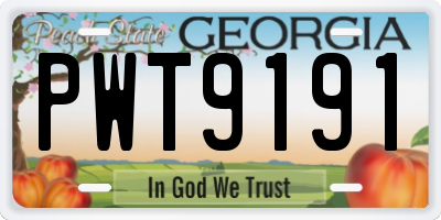GA license plate PWT9191
