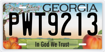 GA license plate PWT9213