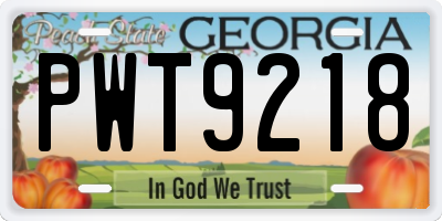 GA license plate PWT9218