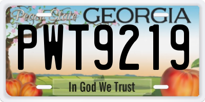 GA license plate PWT9219