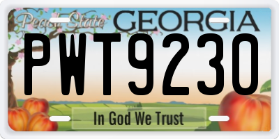 GA license plate PWT9230