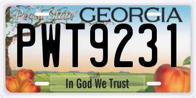 GA license plate PWT9231