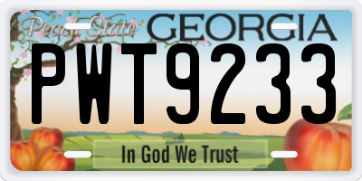 GA license plate PWT9233