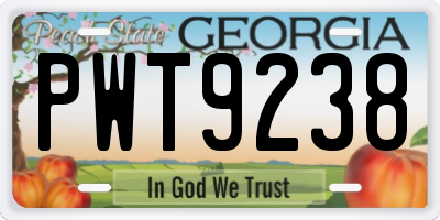 GA license plate PWT9238
