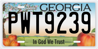 GA license plate PWT9239