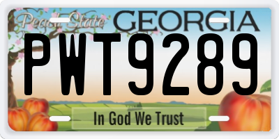 GA license plate PWT9289