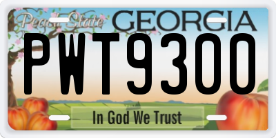 GA license plate PWT9300