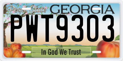 GA license plate PWT9303