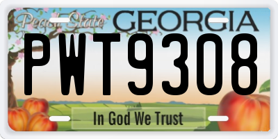 GA license plate PWT9308