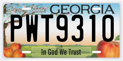 GA license plate PWT9310