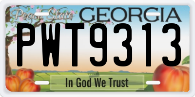 GA license plate PWT9313