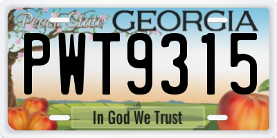 GA license plate PWT9315