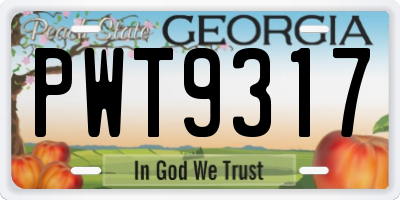 GA license plate PWT9317