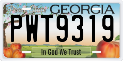 GA license plate PWT9319