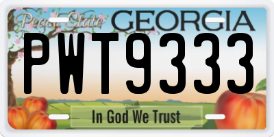 GA license plate PWT9333