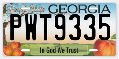 GA license plate PWT9335