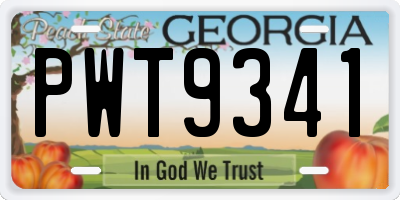GA license plate PWT9341