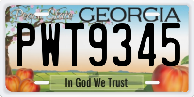 GA license plate PWT9345