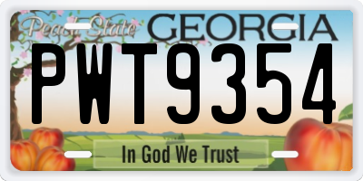 GA license plate PWT9354