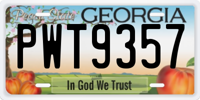 GA license plate PWT9357