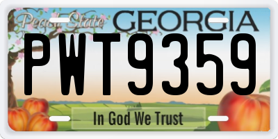 GA license plate PWT9359