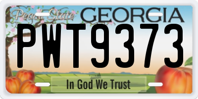 GA license plate PWT9373