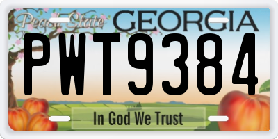 GA license plate PWT9384