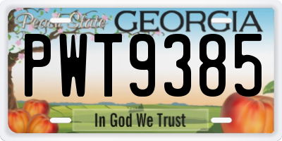 GA license plate PWT9385