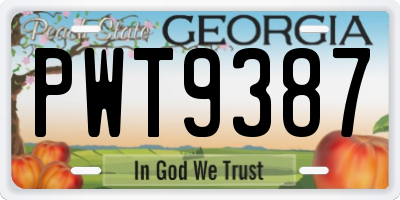 GA license plate PWT9387