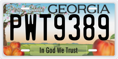GA license plate PWT9389