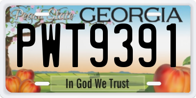 GA license plate PWT9391