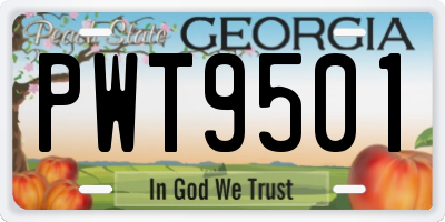 GA license plate PWT9501