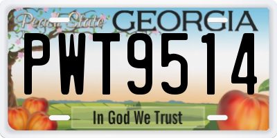 GA license plate PWT9514