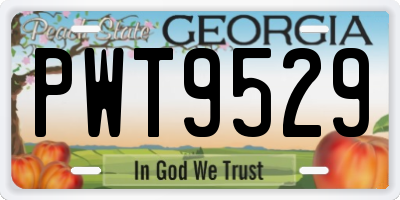 GA license plate PWT9529