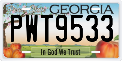 GA license plate PWT9533