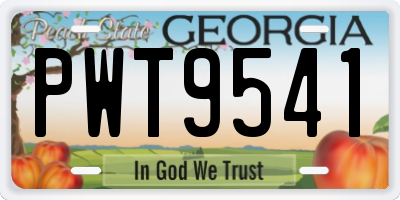 GA license plate PWT9541