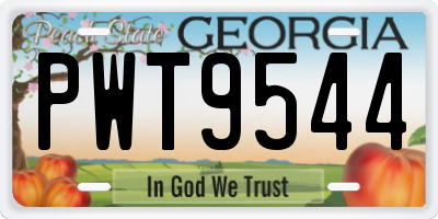 GA license plate PWT9544