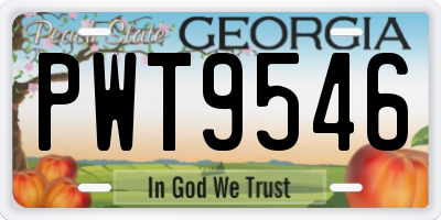 GA license plate PWT9546