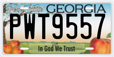 GA license plate PWT9557
