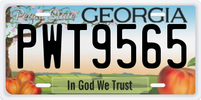 GA license plate PWT9565