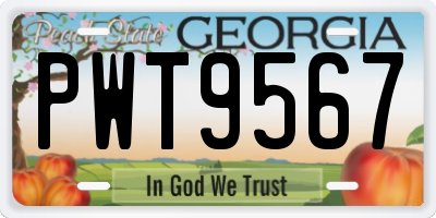 GA license plate PWT9567