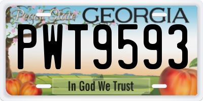 GA license plate PWT9593