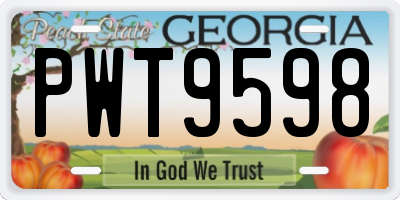 GA license plate PWT9598